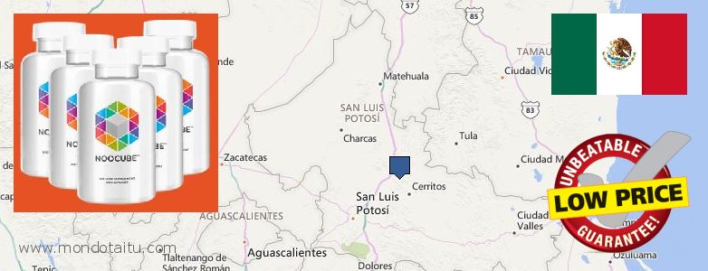 Where to Purchase Nootropics online San Luis Potosi, Mexico