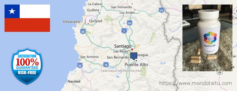 Where to Buy Nootropics online Santiago, Chile