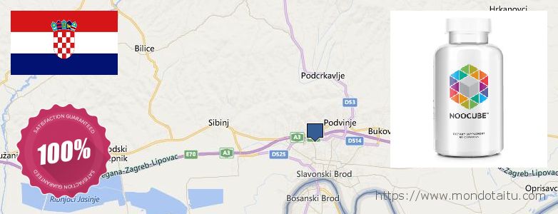 Where to Purchase Nootropics online Slavonski Brod, Croatia