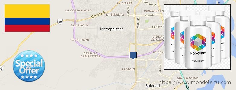 Where Can You Buy Nootropics online Soledad, Colombia