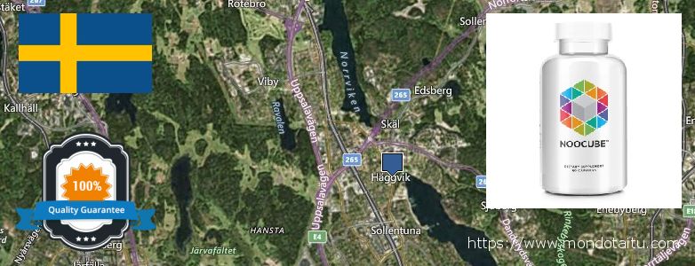 Where to Buy Nootropics online Sollentuna, Sweden