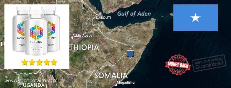 Where to Buy Nootropics online Somalia