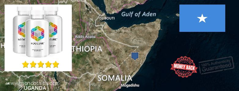 Buy Nootropics online Somalia Where to Purchase Nootropics online Somalia