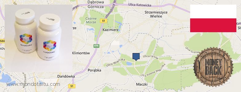 Wo kaufen Nootropics Noocube online Sosnowiec, Poland
