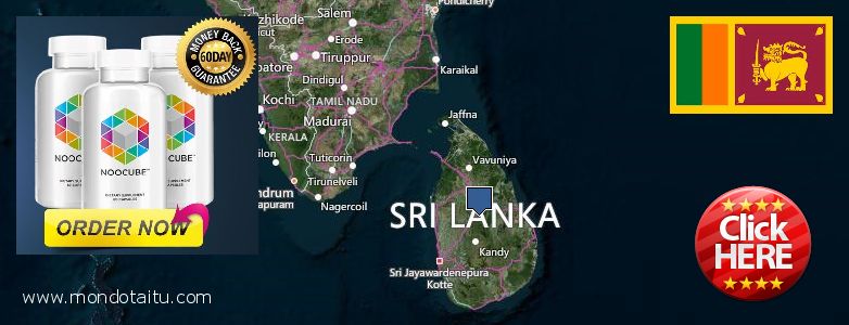 Where to Buy Nootropics online Sri Lanka