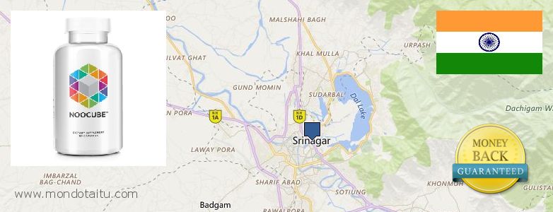 Where to Purchase Nootropics online Srinagar, India