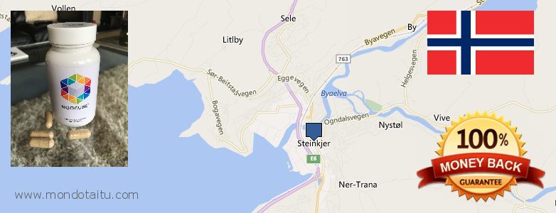Best Place to Buy Nootropics online Steinkjer, Norway