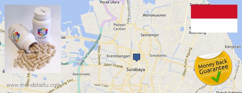 Where to Buy Nootropics online Surabaya, Indonesia