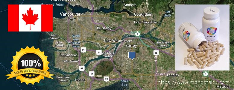 Where Can I Buy Nootropics online Surrey, Canada