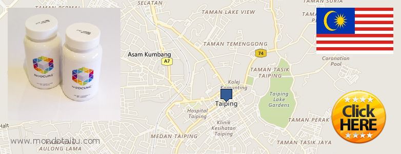 Buy Nootropics online Taiping, Malaysia
