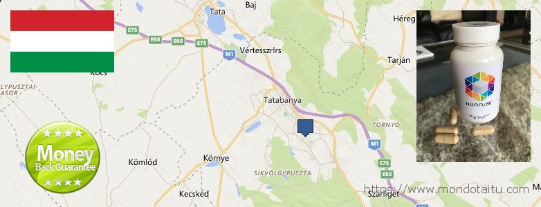 Best Place to Buy Nootropics online Tatabánya, Hungary