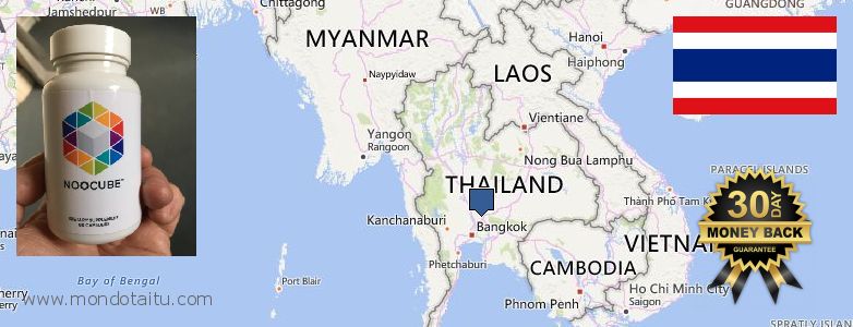Where to Buy Nootropics online Thailand