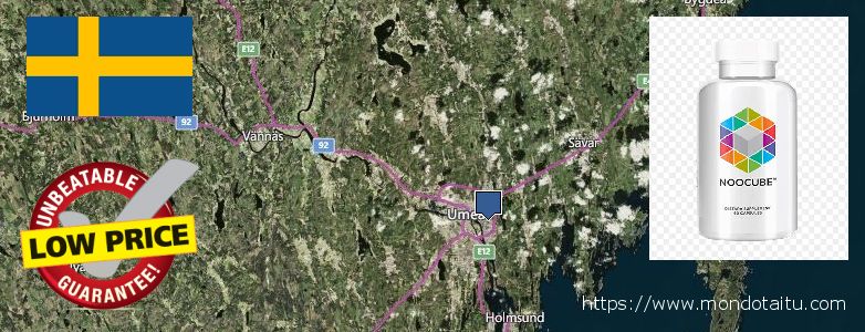 Where to Buy Nootropics online Umea, Sweden