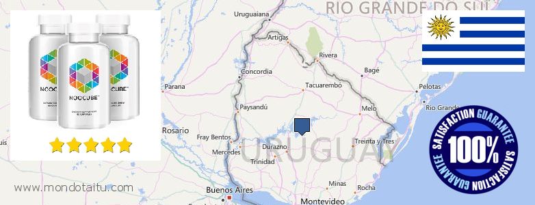 Where to Buy Nootropics online Uruguay