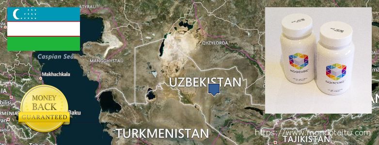Where to Buy Nootropics online Uzbekistan