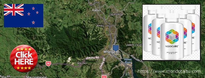 Where Can I Buy Nootropics online Whangarei, New Zealand