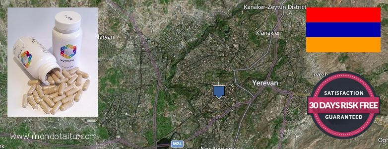 Where Can I Buy Nootropics online Yerevan, Armenia