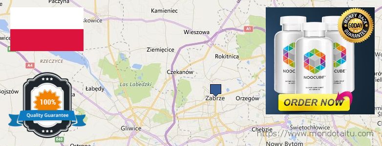Where to Buy Nootropics online Zabrze, Poland
