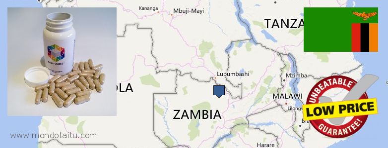 Where to Buy Nootropics online Zambia
