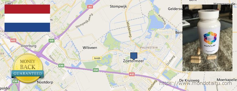 Where to Buy Nootropics online Zoetermeer, Netherlands