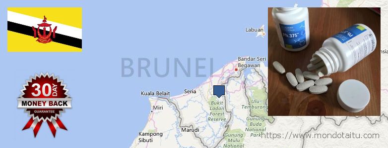 حيث لشراء Phen375 على الانترنت Brunei