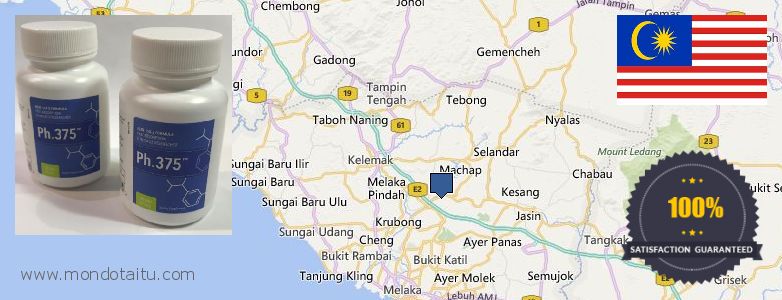 哪里购买 Phen375 在线 Malacca, Malaysia