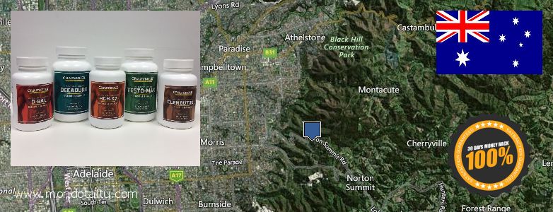 Where to Buy Winstrol Steroids online Adelaide Hills, Australia