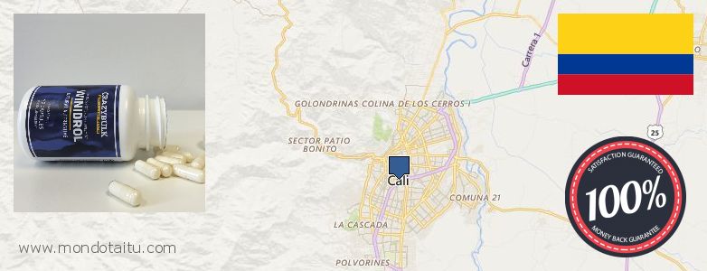 Dónde comprar Stanozolol Alternative en linea Cali, Colombia