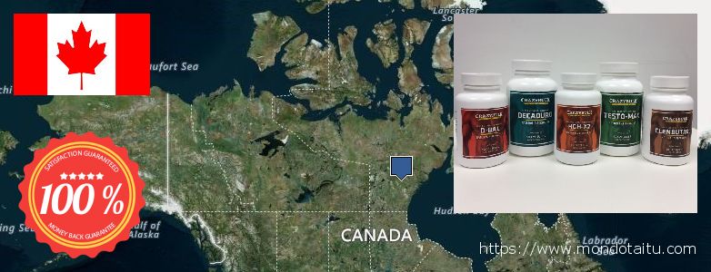 Dónde comprar Stanozolol Alternative en linea Canada