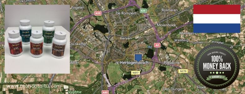 Where to Buy Winstrol Steroids online s-Hertogenbosch, Netherlands