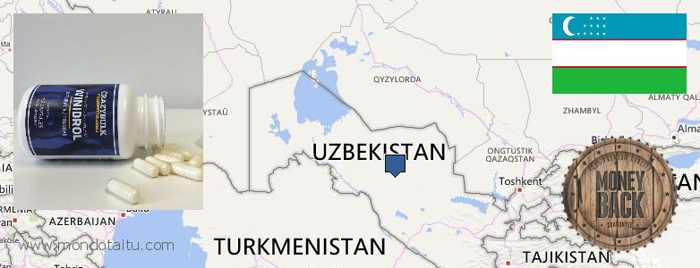 Where Can You Buy Winstrol Steroids online Uzbekistan