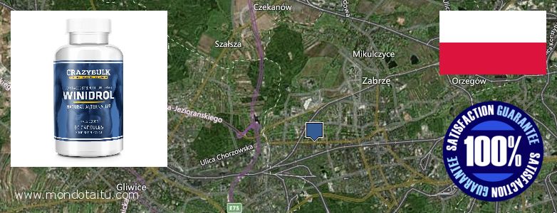 Gdzie kupić Stanozolol Alternative w Internecie Zabrze, Poland