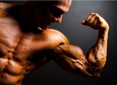 Purchase Dianabol Steroids in Bosnia And Herzegovina Purchase Dianabol Steroids in Bosnia And Herzegovina