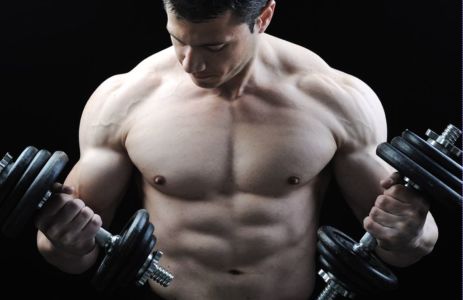 Where Can I Purchase Dianabol Steroids in Zwolle