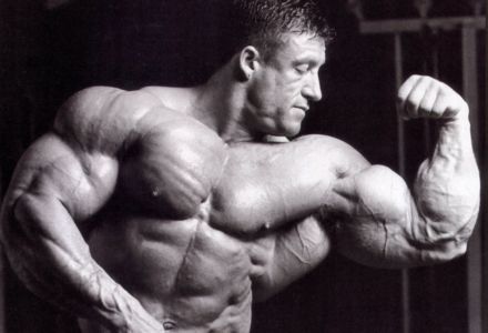 Where to Buy Winstrol Stanozolol in Saint Kitts And Nevis Where to Buy Winstrol Stanozolol in Saint Kitts And Nevis