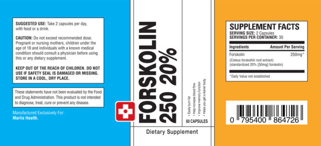 Best Place to Buy Forskolin in Internationally Best Place to Buy Forskolin in Internationally
