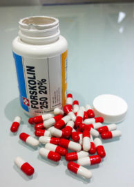 Where Can I Buy Forskolin in Nigeria Where Can I Buy Forskolin in Nigeria
