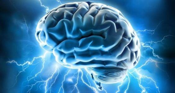 Where to Buy Nootropics in Oman Where to Buy Nootropics in Oman