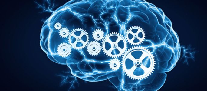 Where to Buy Nootropics in Bayamon