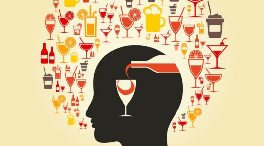 Where to Purchase Nootropics in Namibia Where to Purchase Nootropics in Namibia