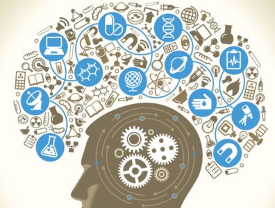 Best Place to Buy Nootropics in Jamaica Best Place to Buy Nootropics in Jamaica
