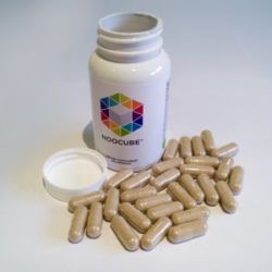 Best Place to Buy Nootropics in Zambia