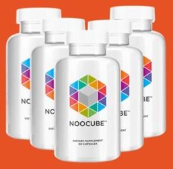 Where to Purchase Nootropics in Chengdu